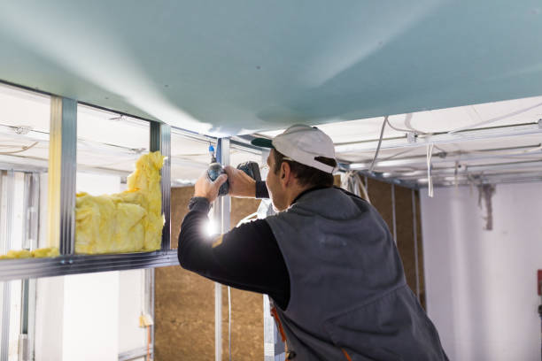 Best Residential Insulation in Winters, CA